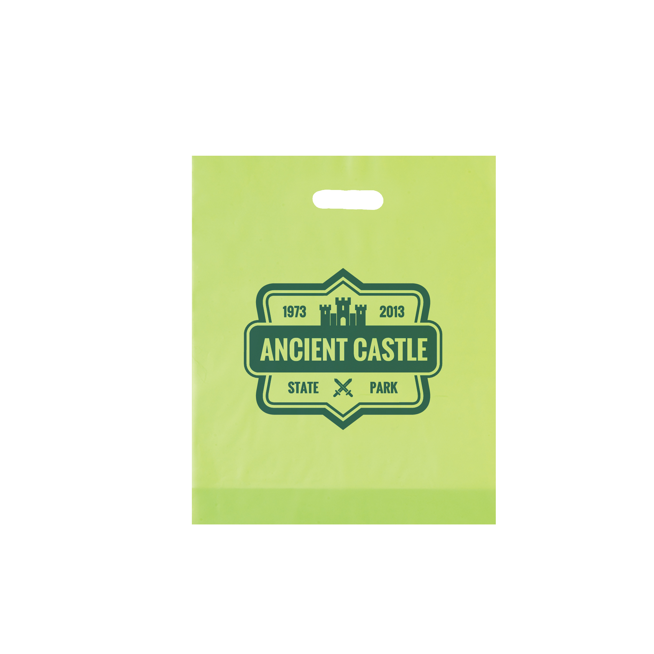 Non Reinforced HDPE Frosted Die Cut Bag 13