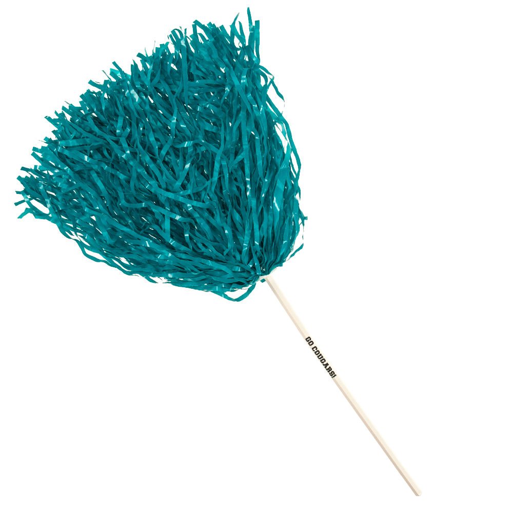 Rooter Pom, 750 Streamers 24
