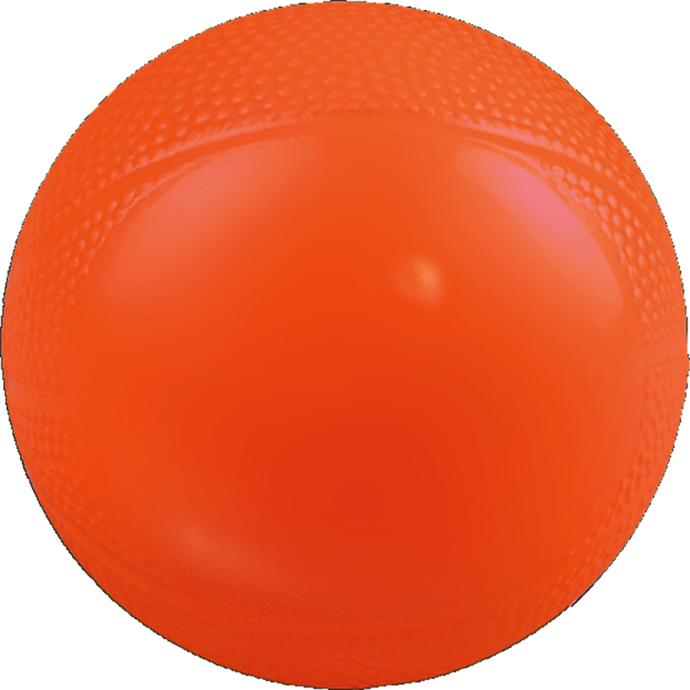 Mini Vinyl Basketball 8