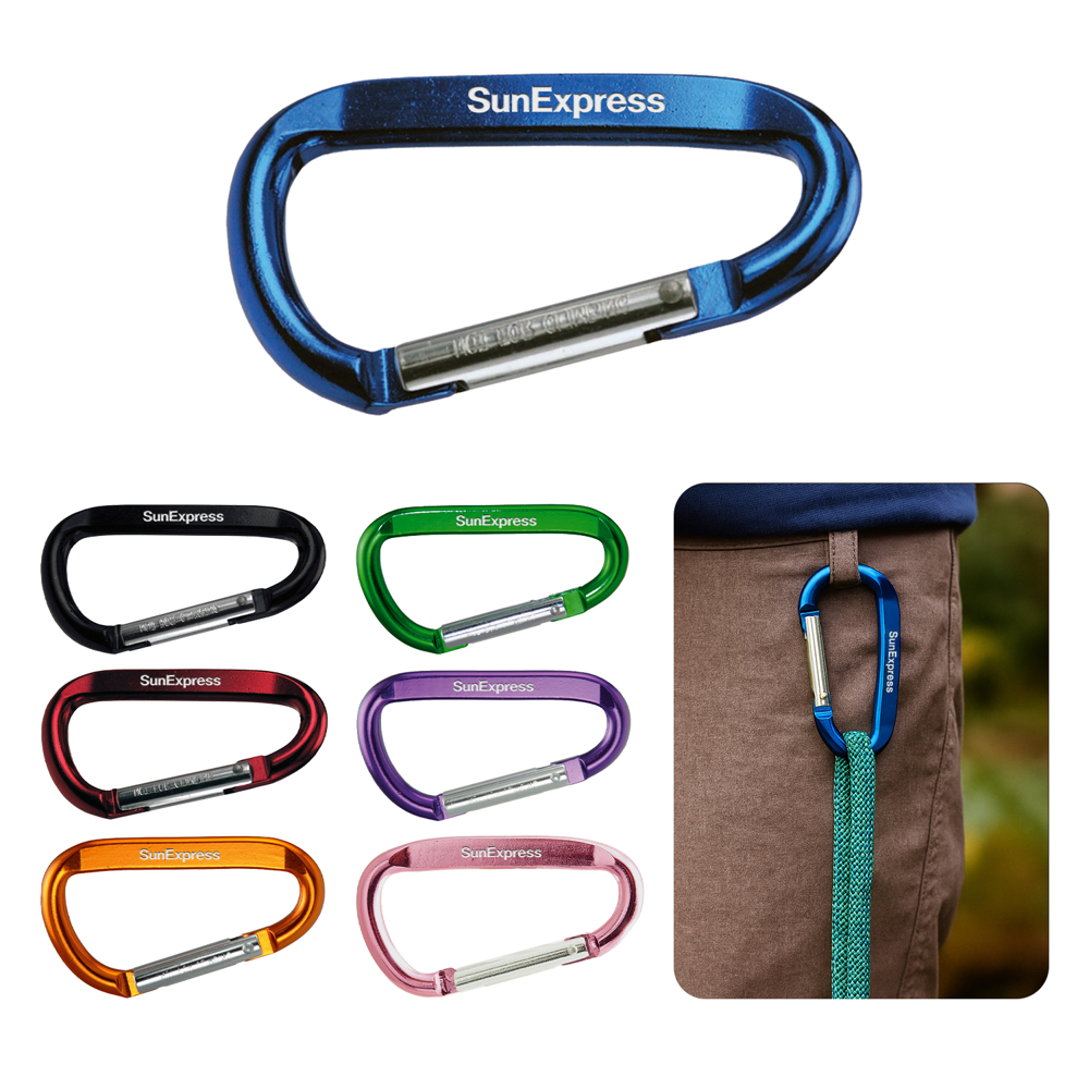 Carabiner 13