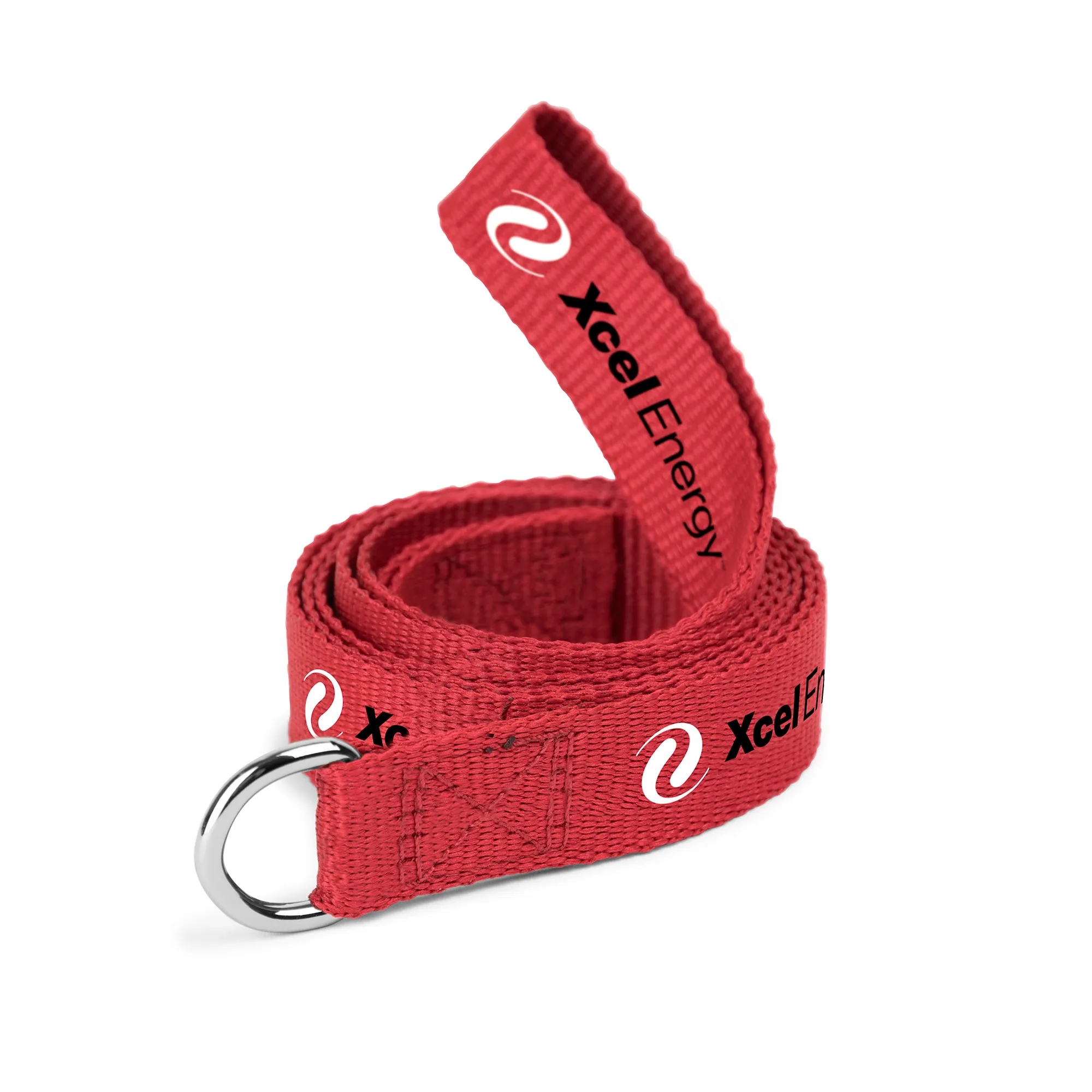 Dog Leash 1