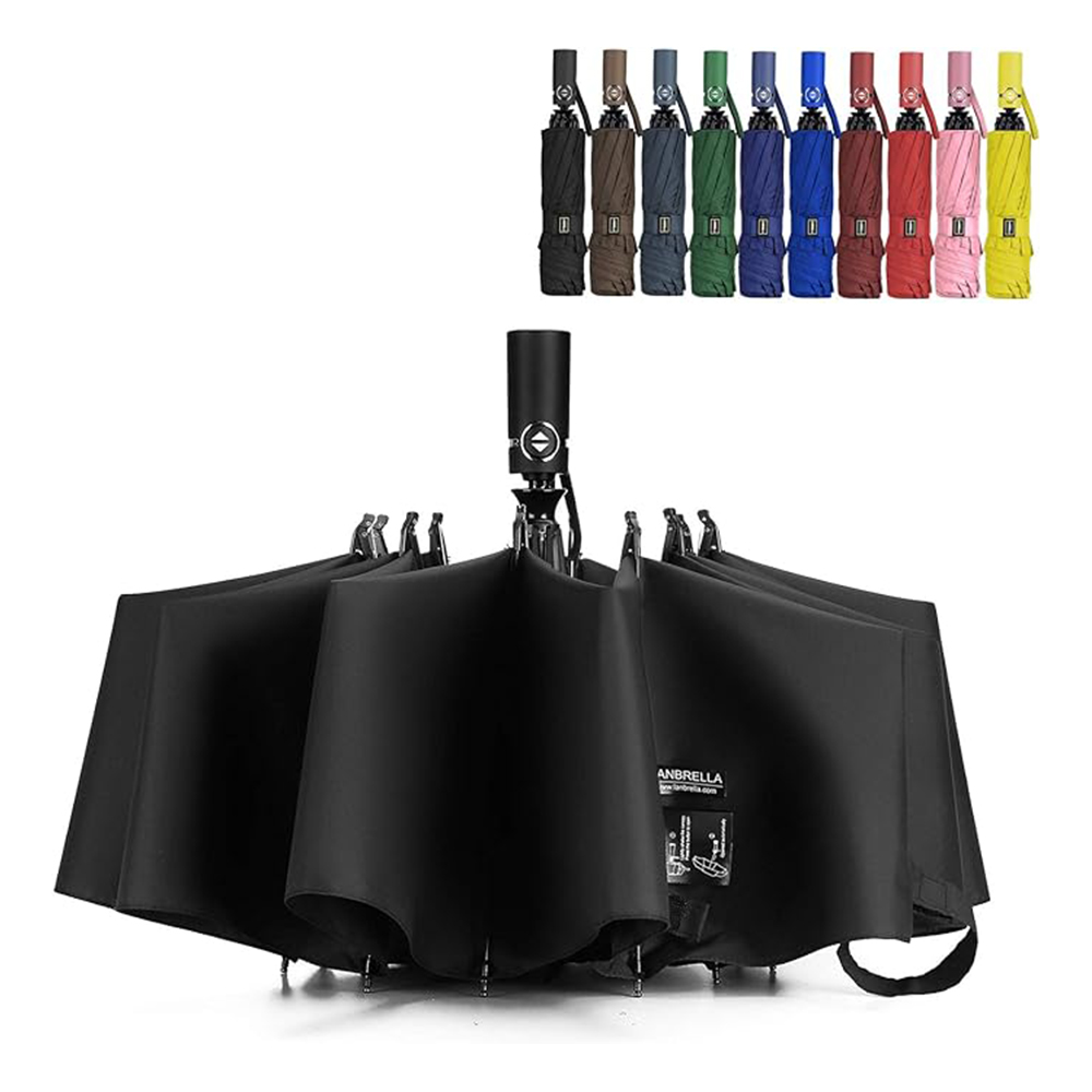 Folding Umbrella 1