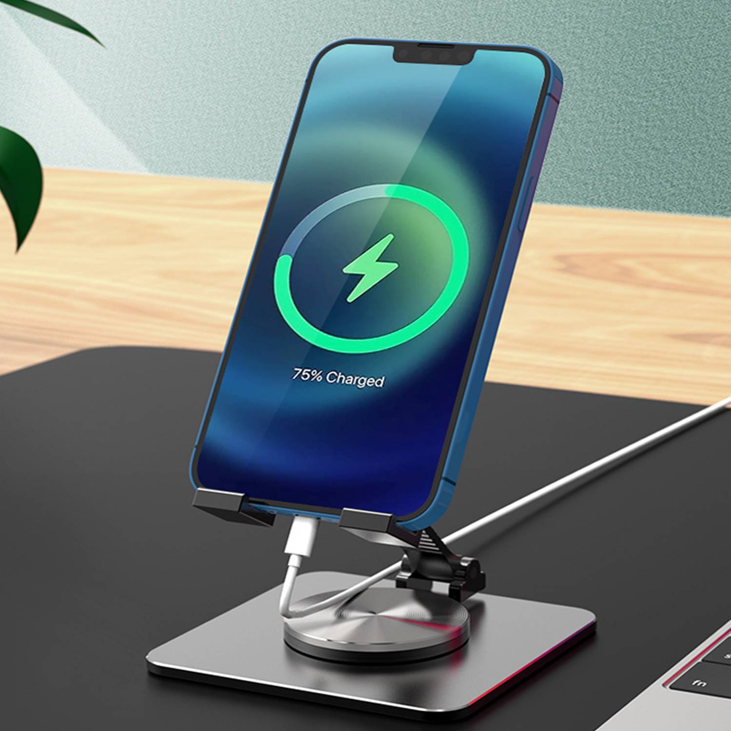 Phone Holder 5