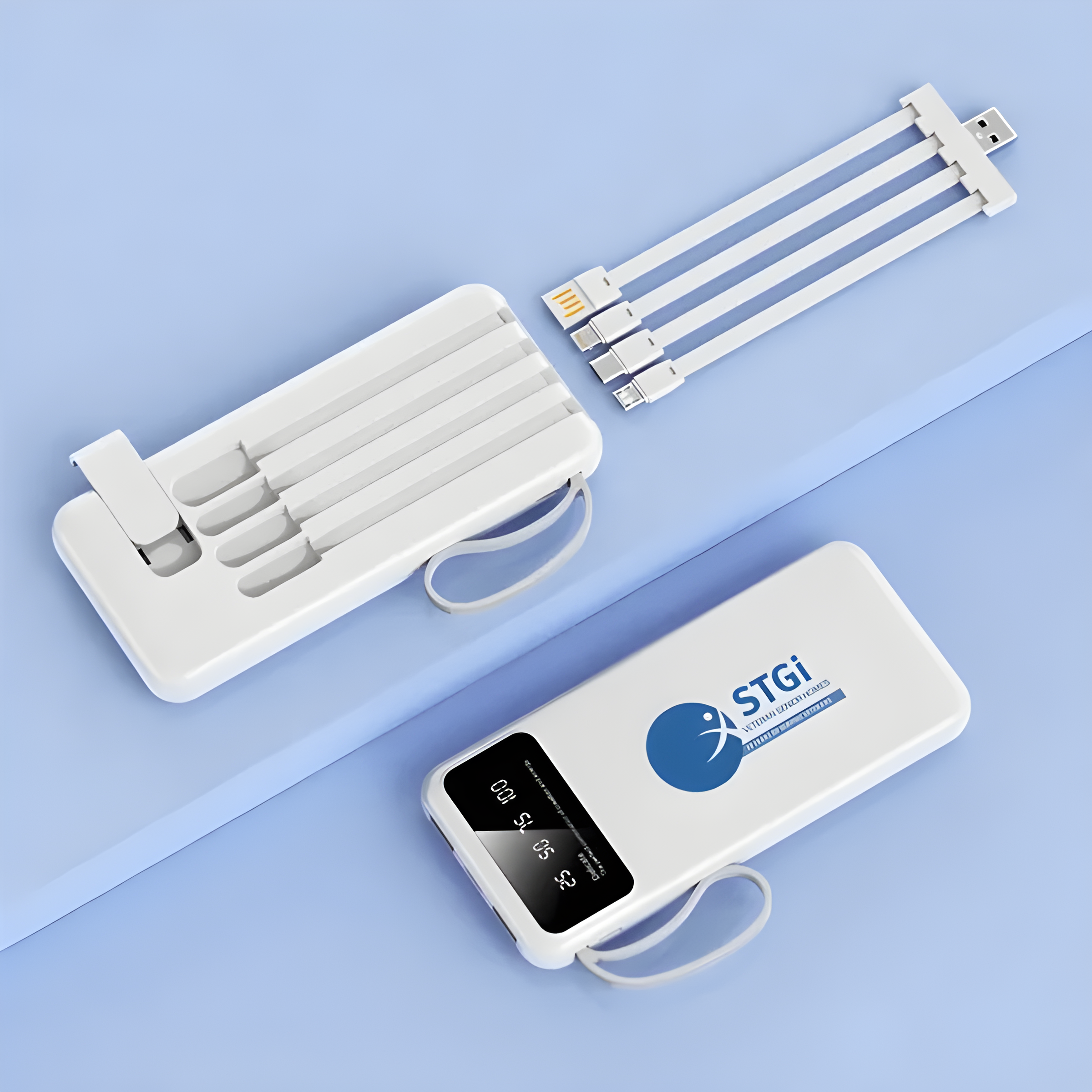 10000 mAh Multi Cable Power Bank 5