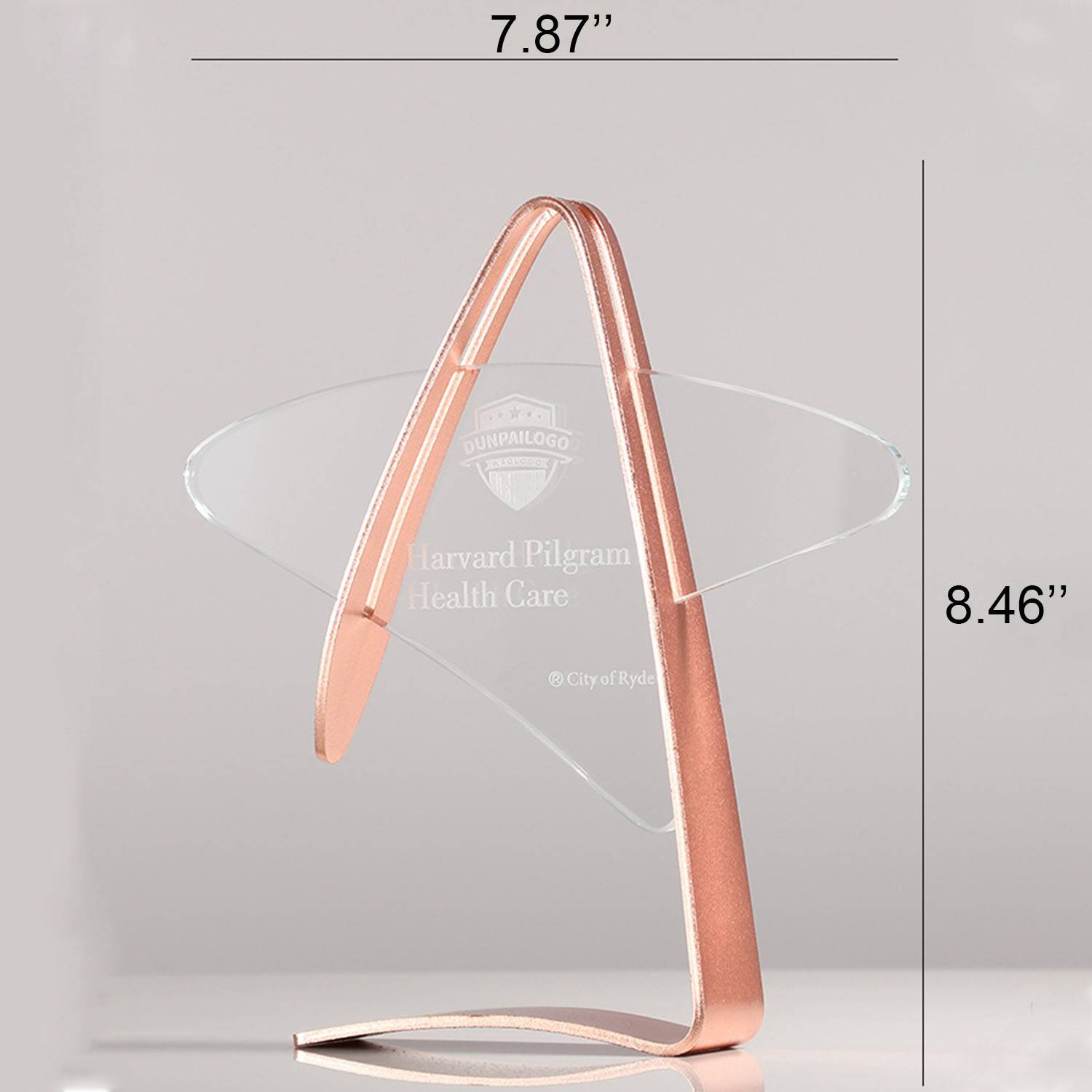 Metal crystal trophy 2