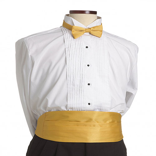 Gold Cummerbund 2