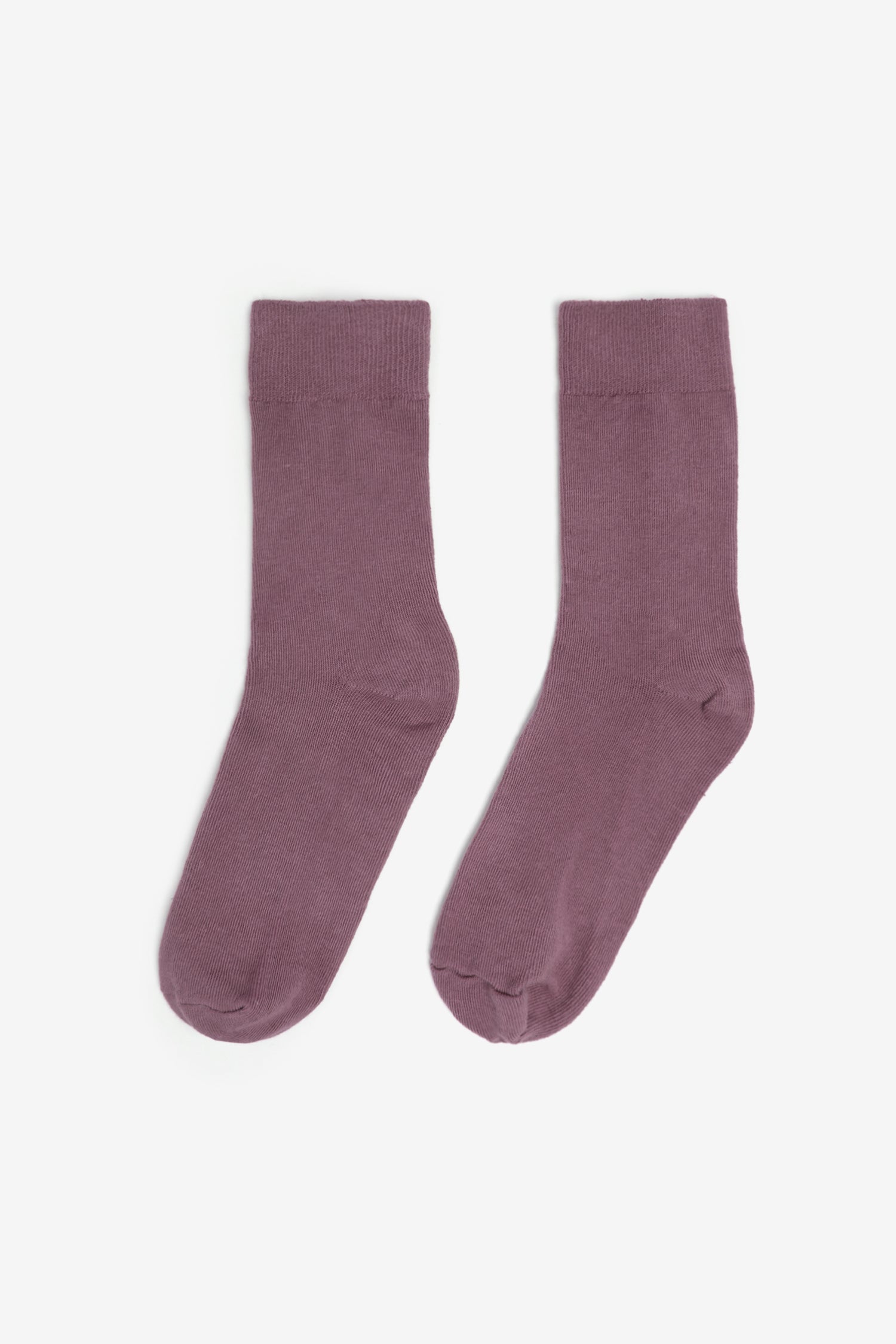SUMMER SOCK 10