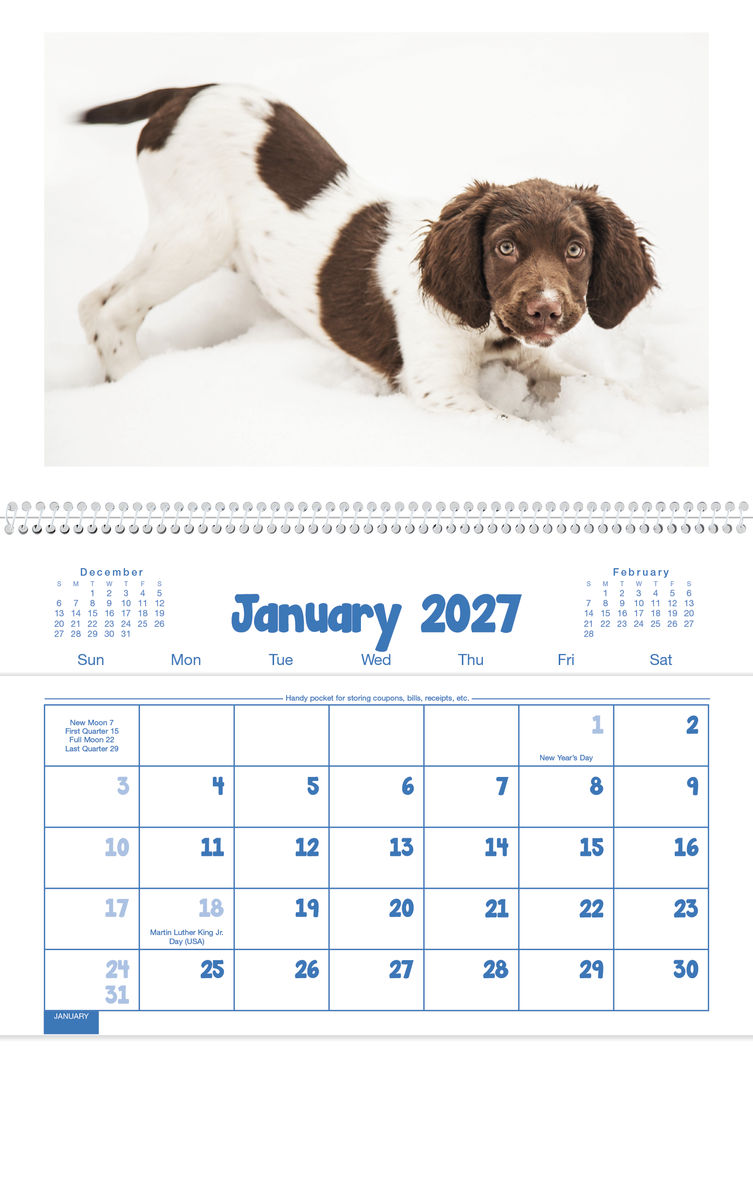 Triumph® Calendars Puppies & Kittens Pocket Calendar 58