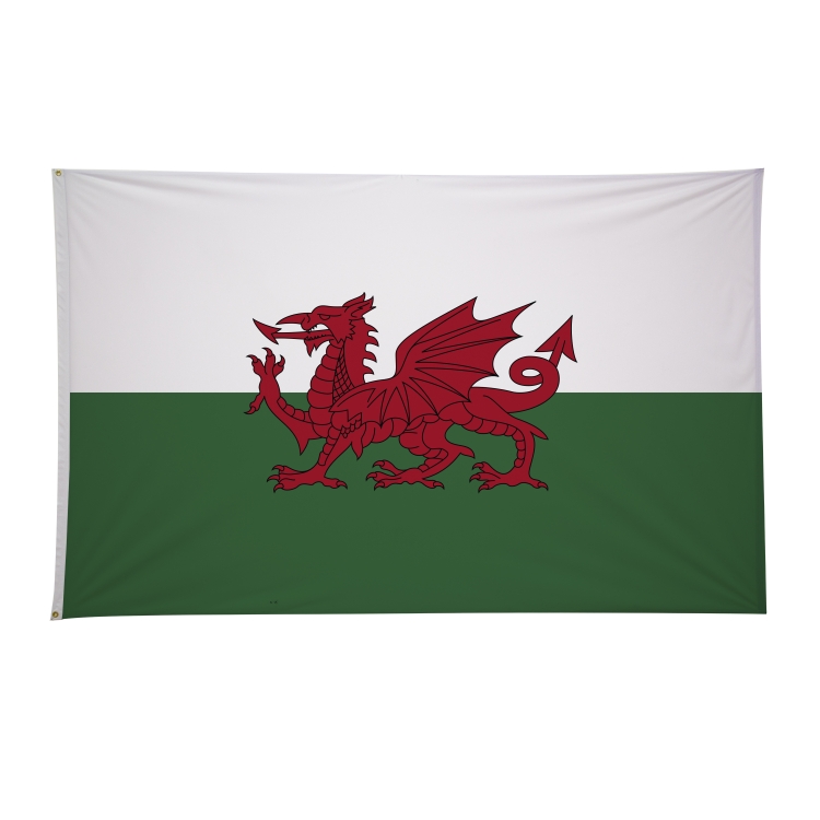 5' x 8' International Flags 235