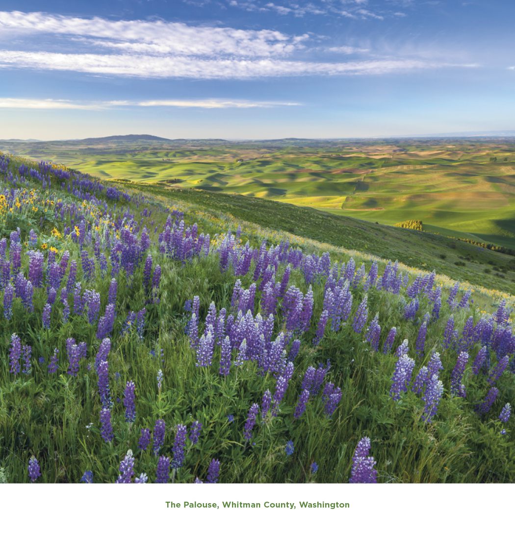 Triumph® Calendars Beautiful America Calendar 27