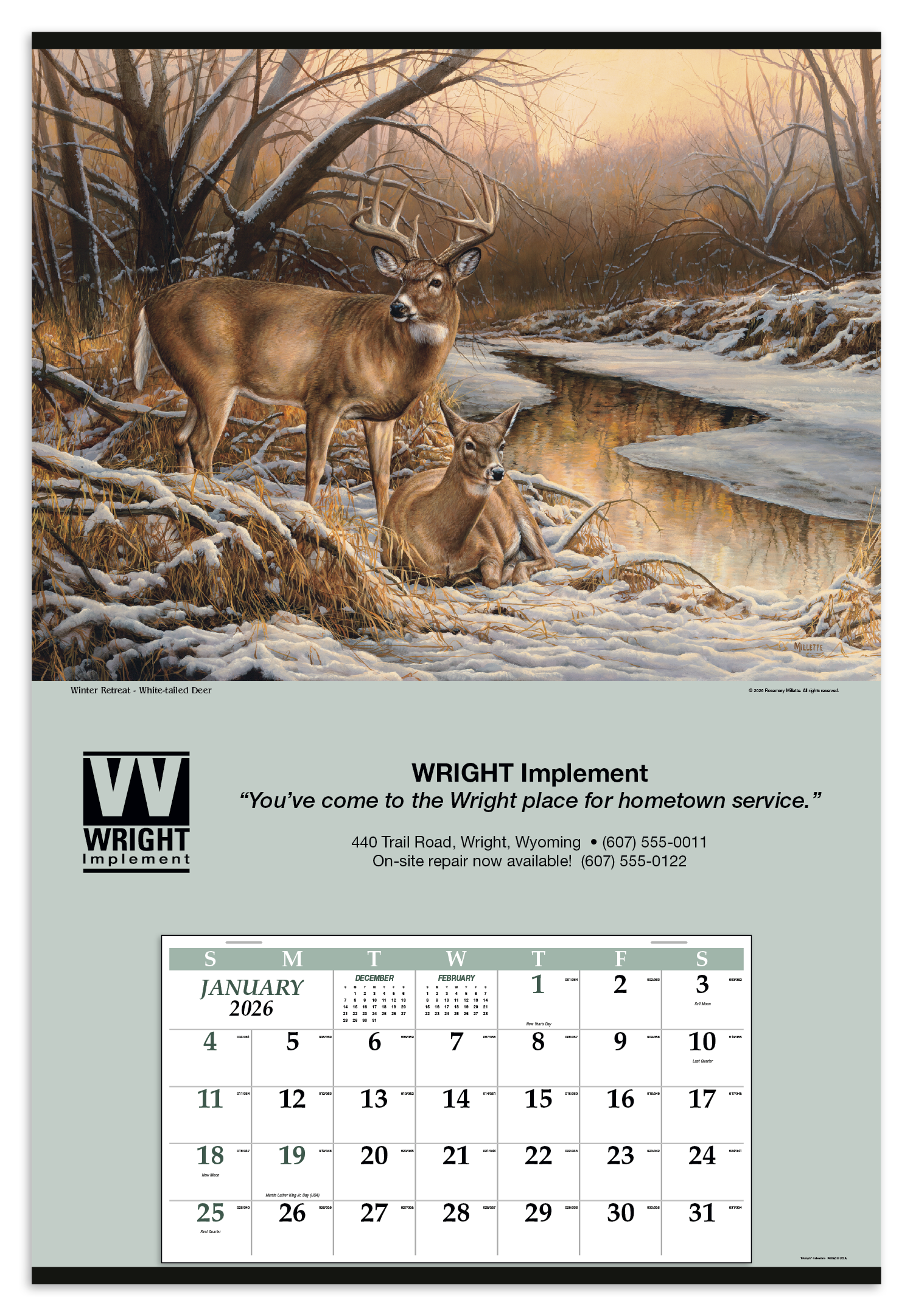 Triumph® Calendars Jumbo Hanger (12-Month) Calendar 61