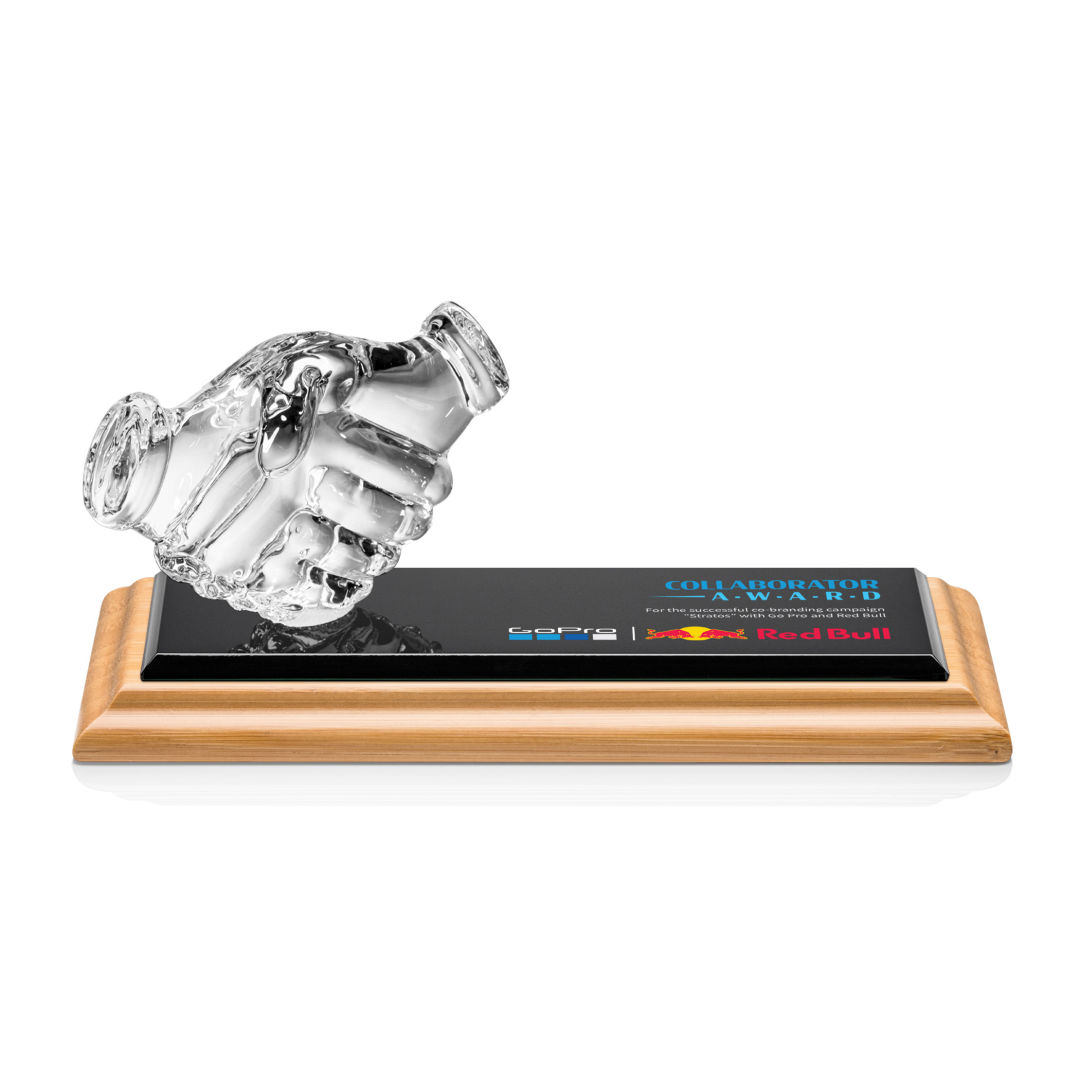 Northam Shaking Hands VividPrint™ Award 8