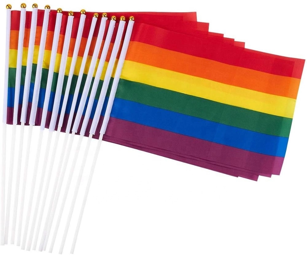 Small Rainbow Hand Flags 2