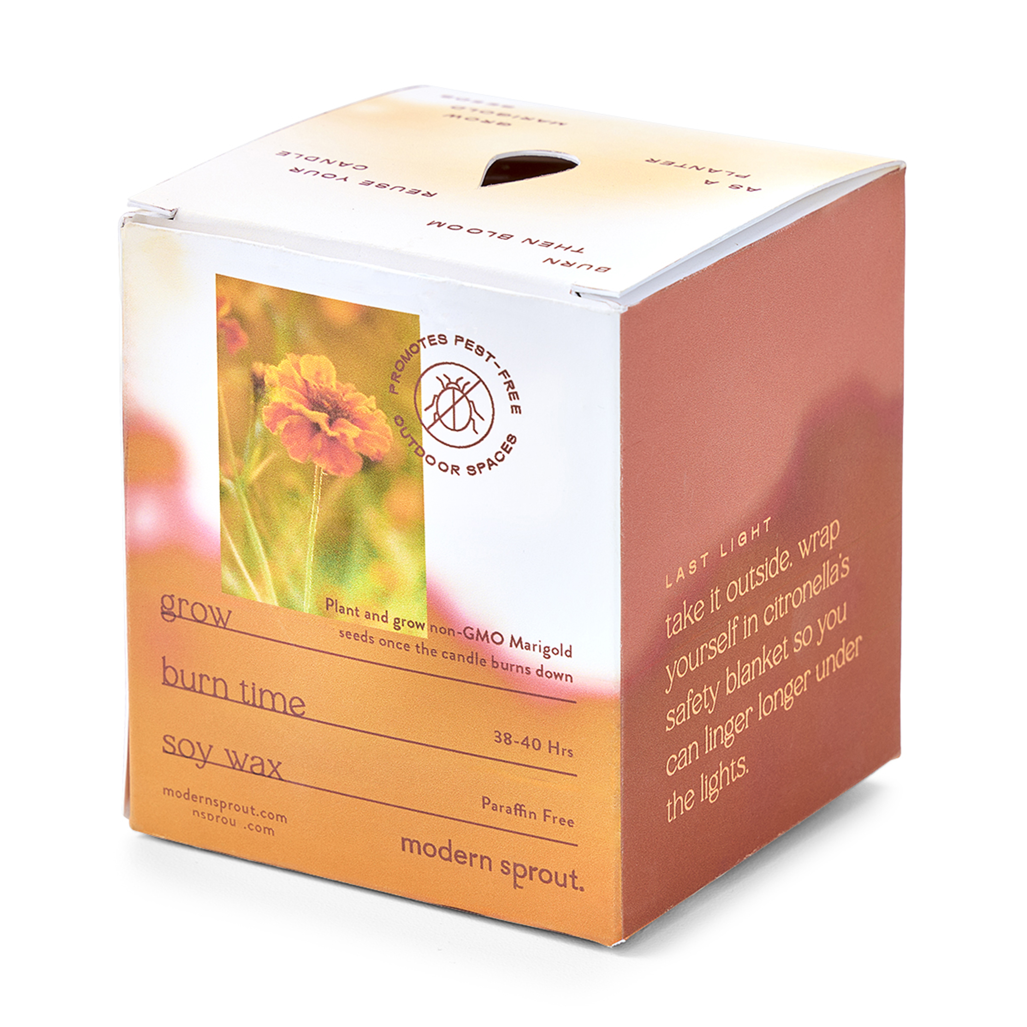 Modern Sprout® Garden Vibes Candle/Planter 13