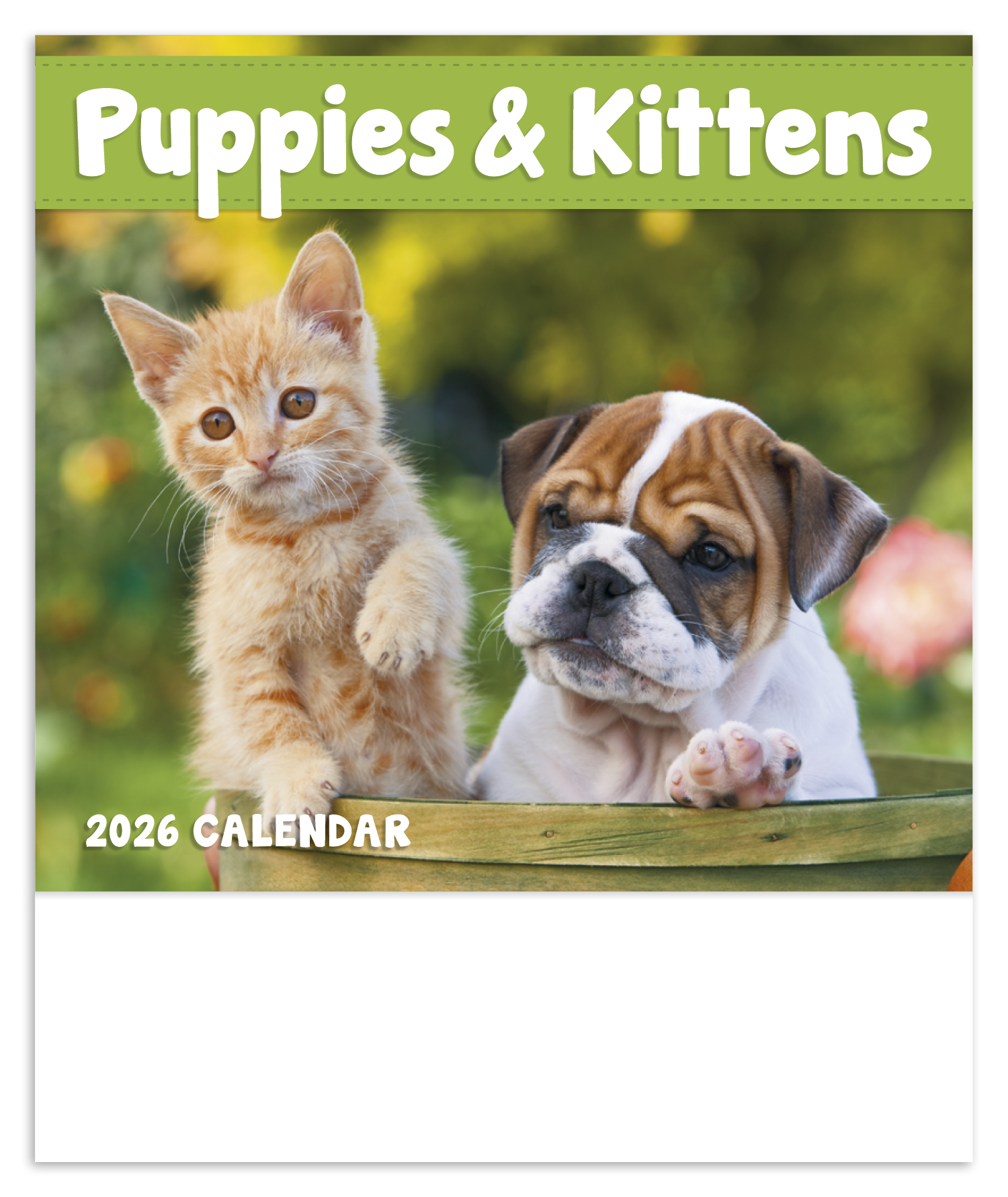 Good Value™ Puppies & Kittens - Mini Calendar 25
