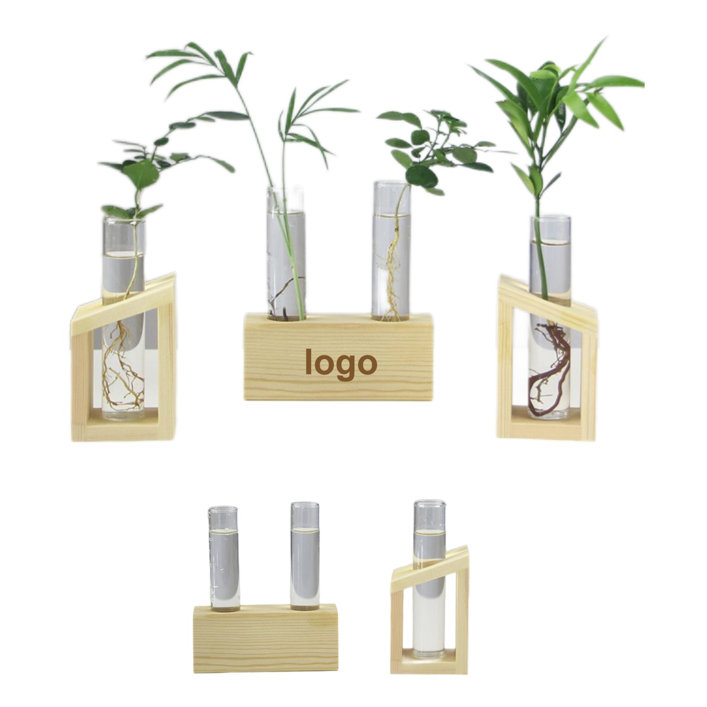 Glass Tube Planter 3