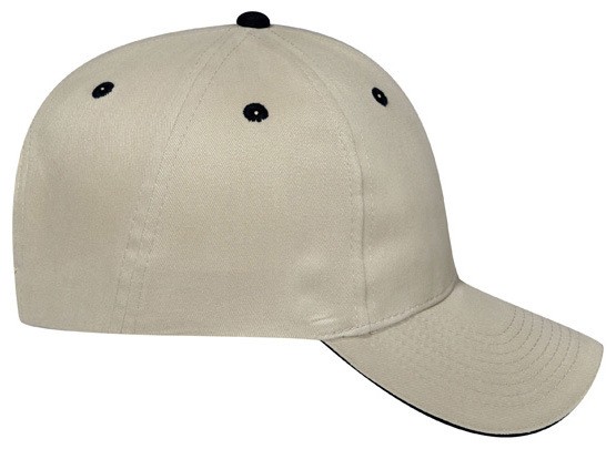 OTTO CAP 6 Panel Low Profile Baseball Cap 9