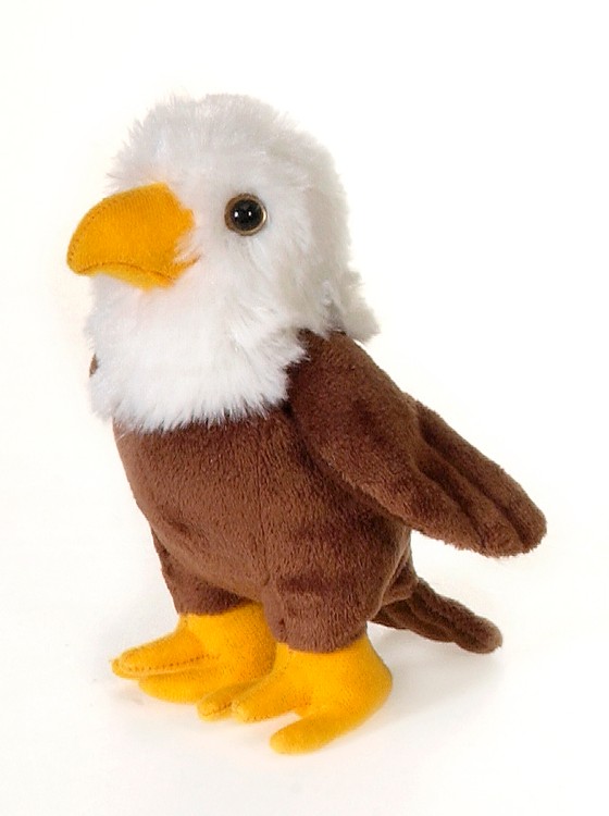 6" Lil Eagle 2
