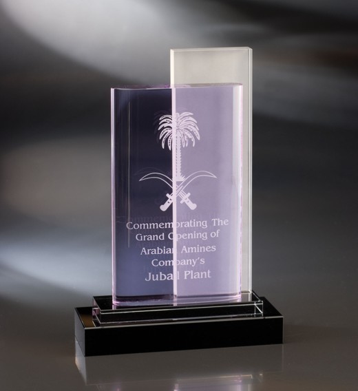 Contemporary Vistas Crystal Vedra Award 2