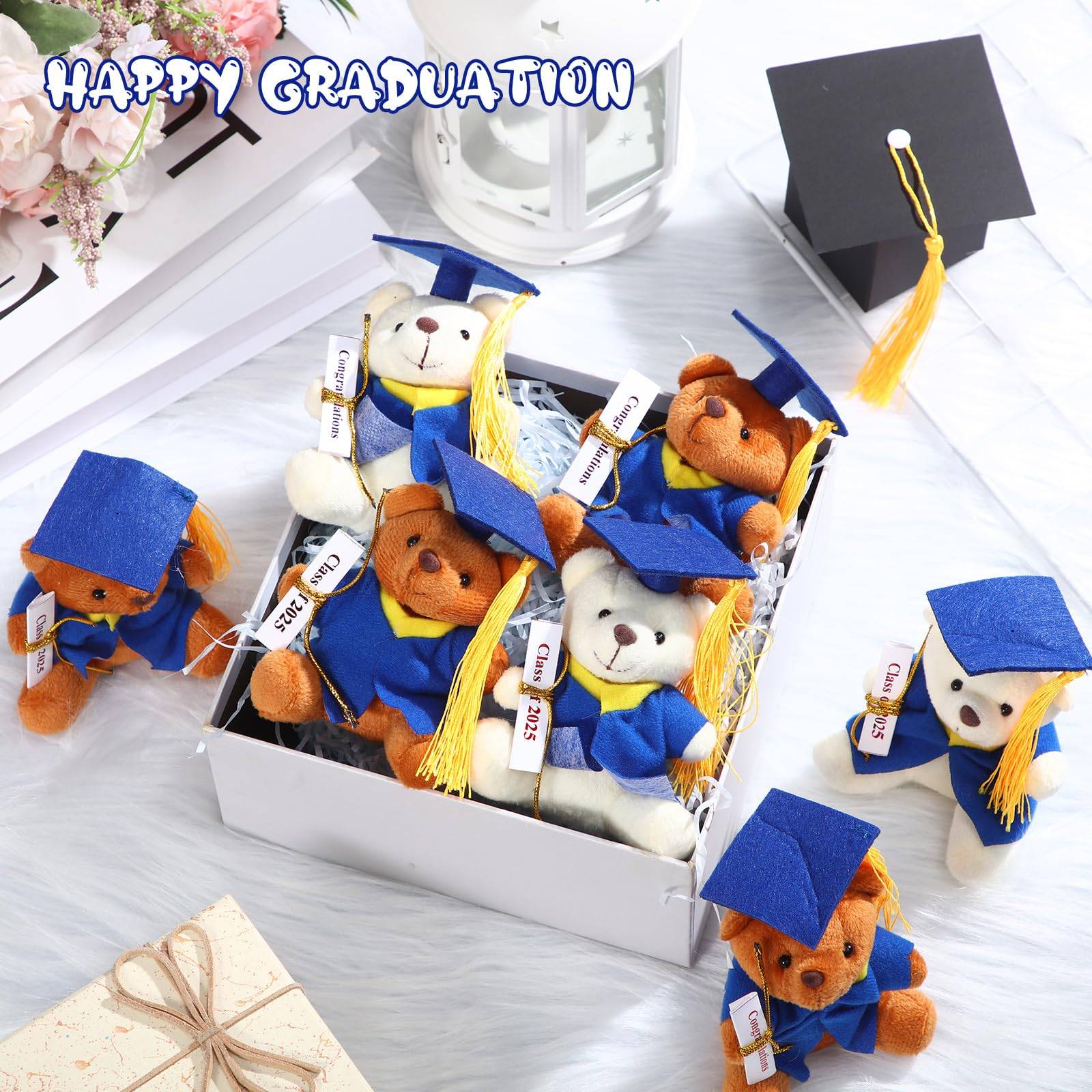 Adorable Graduation Plush Doctor Bear Toy – Perfect Keepsake 3