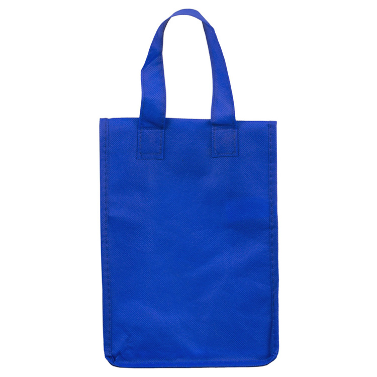 6-1/2"W x 9"H x 3 ½"Gusset - "BAG-IT" Value Priced Lightweight Lunch Tote Bag 12