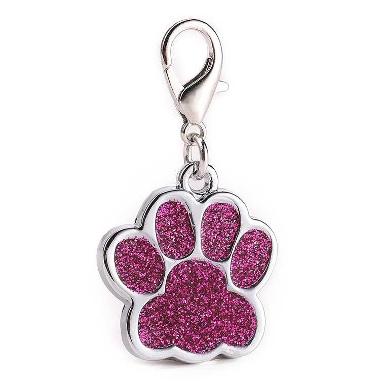 Zinc Alloy Handicraft Pet Anti Lost Tag 10