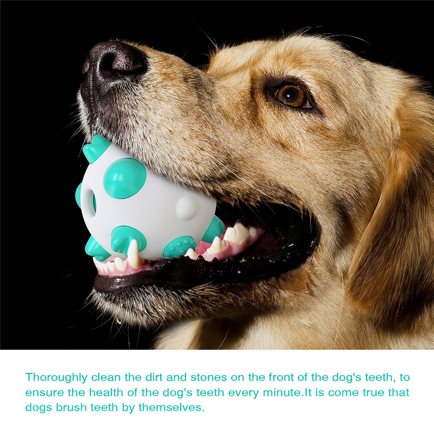 Rubber Spherical Chewing Resistant Dog Molar Stick Toy 5
