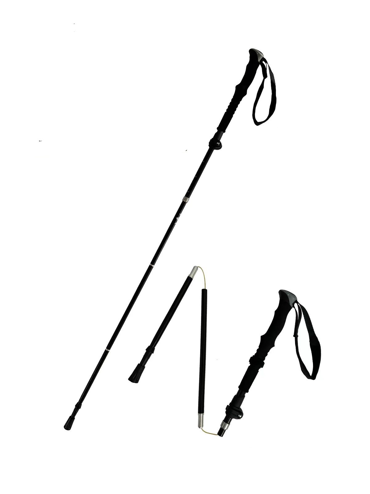 Hiking Poles 2