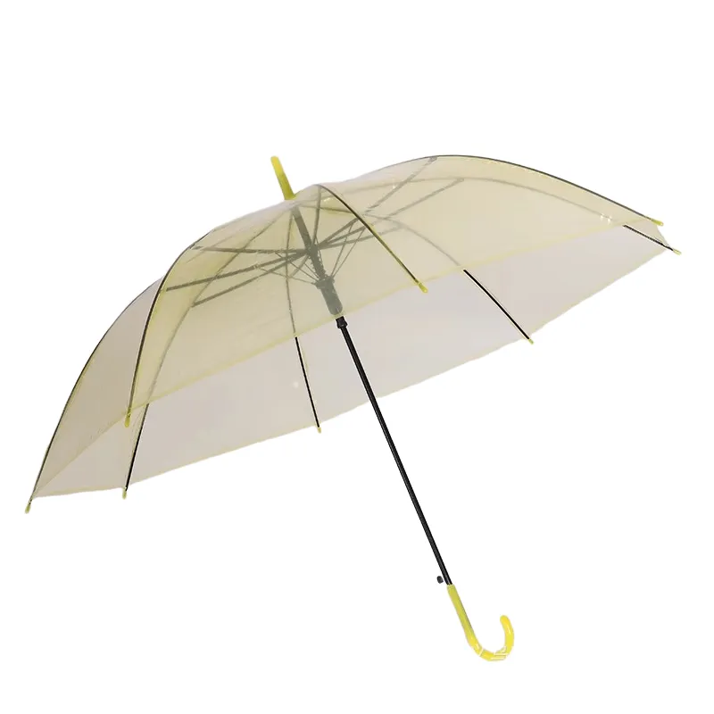 Transparent Umbrella 9