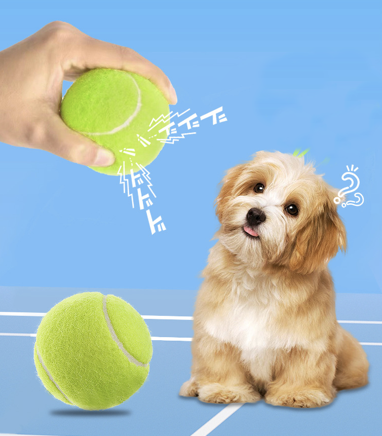 Squeaky Tennis Balls 3