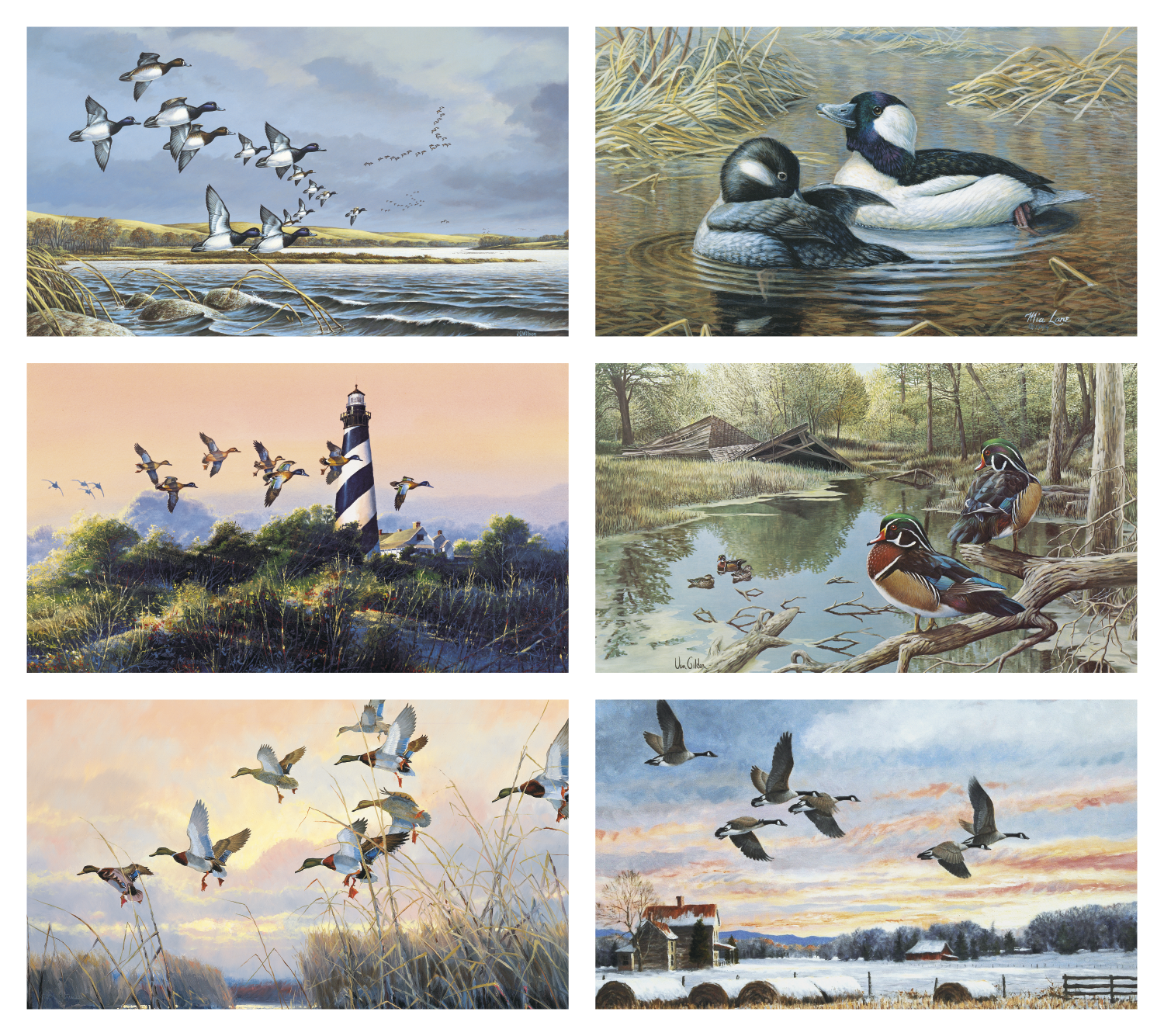 Triumph® Calendars North American Waterfowl Calendar 3