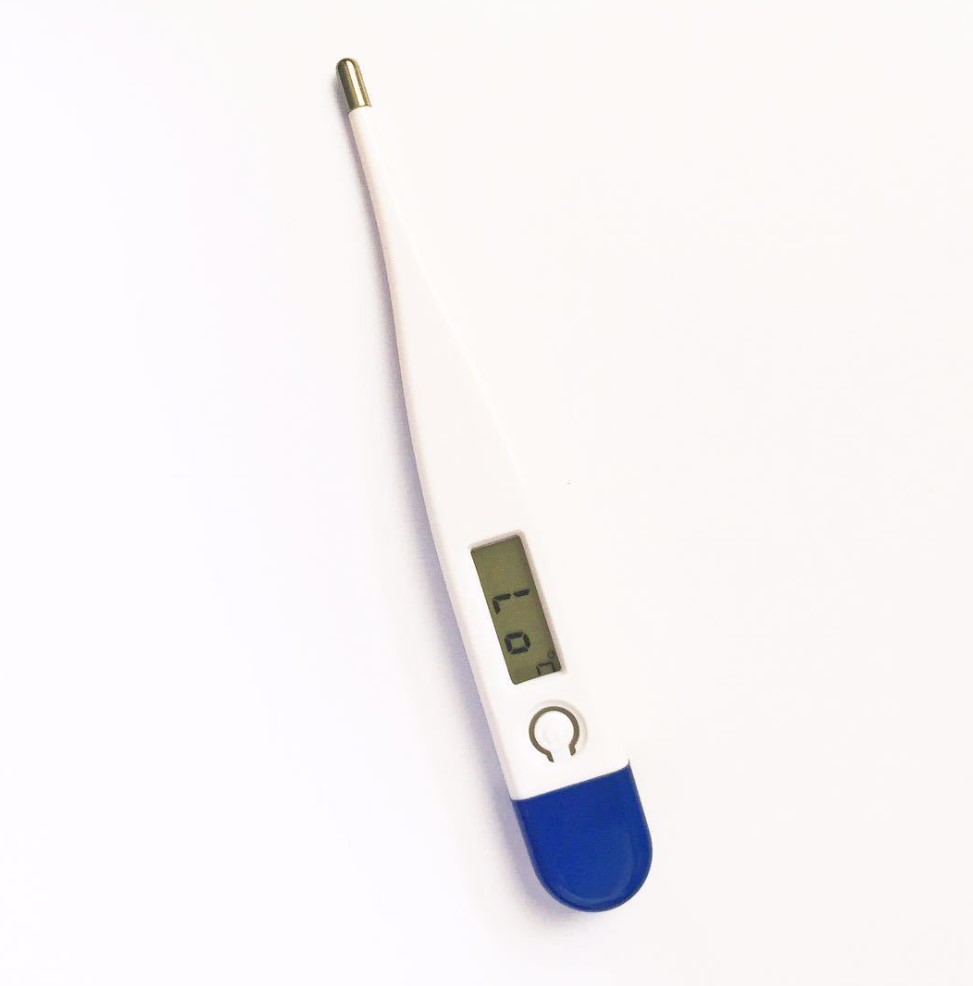 Christmas Portable Digital Thermometer 5