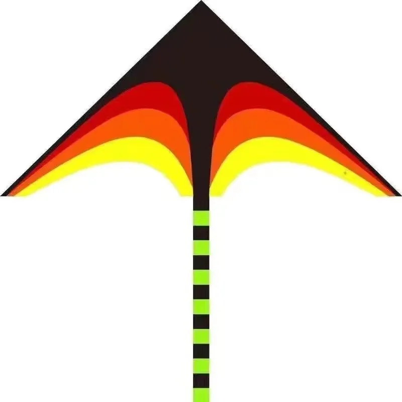 Beginner kite 8