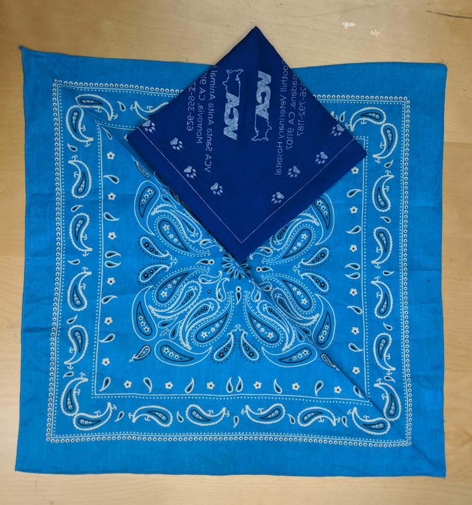 Cotton Bandana 1