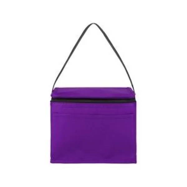 Springs 6-Pack Insulated Cooler Bag 2