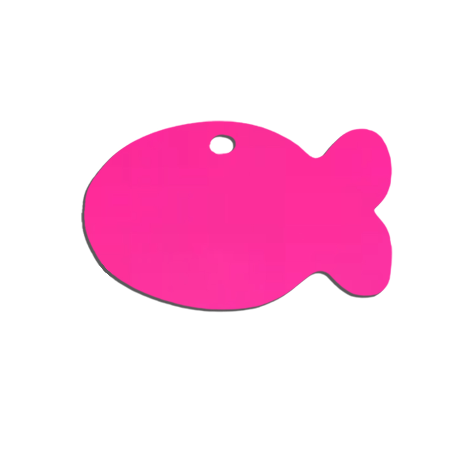 Aluminum Fish Shaped Pet Tag 3