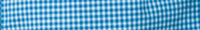 Ladies L/S Gingham 12