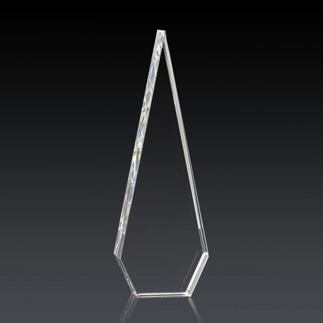 Springfield 3D Award 7