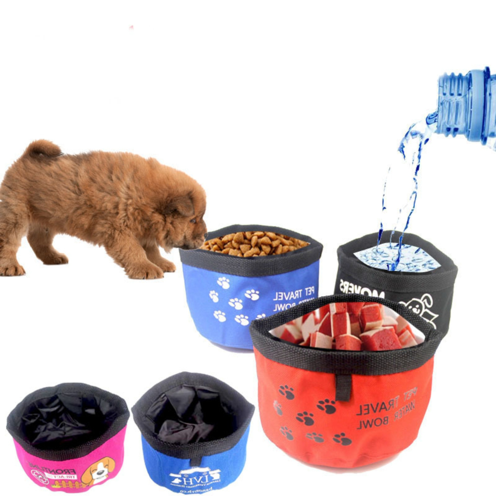 Collapsible Dog Bowl 7