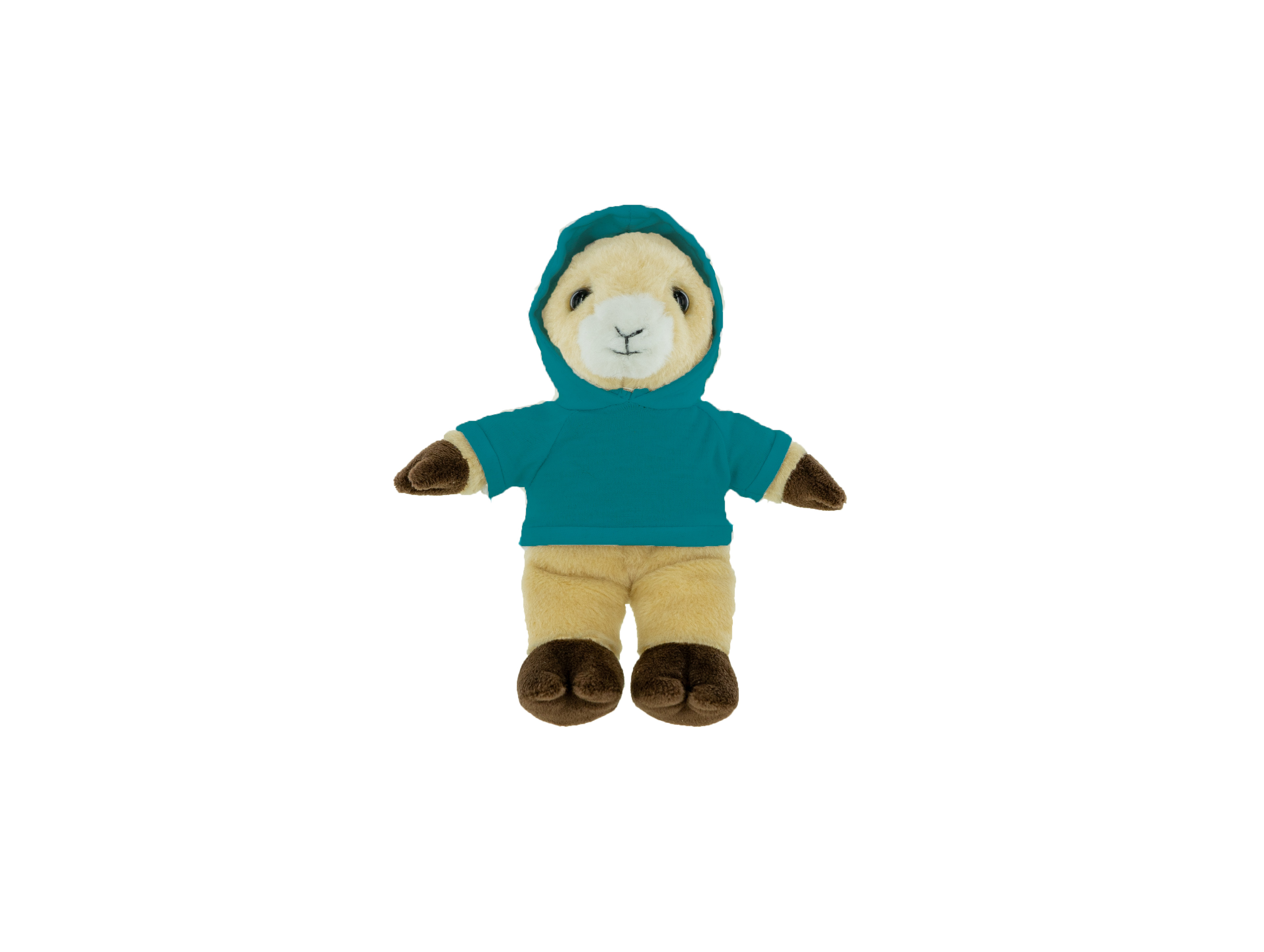 Plush Ram with Hoodie 10