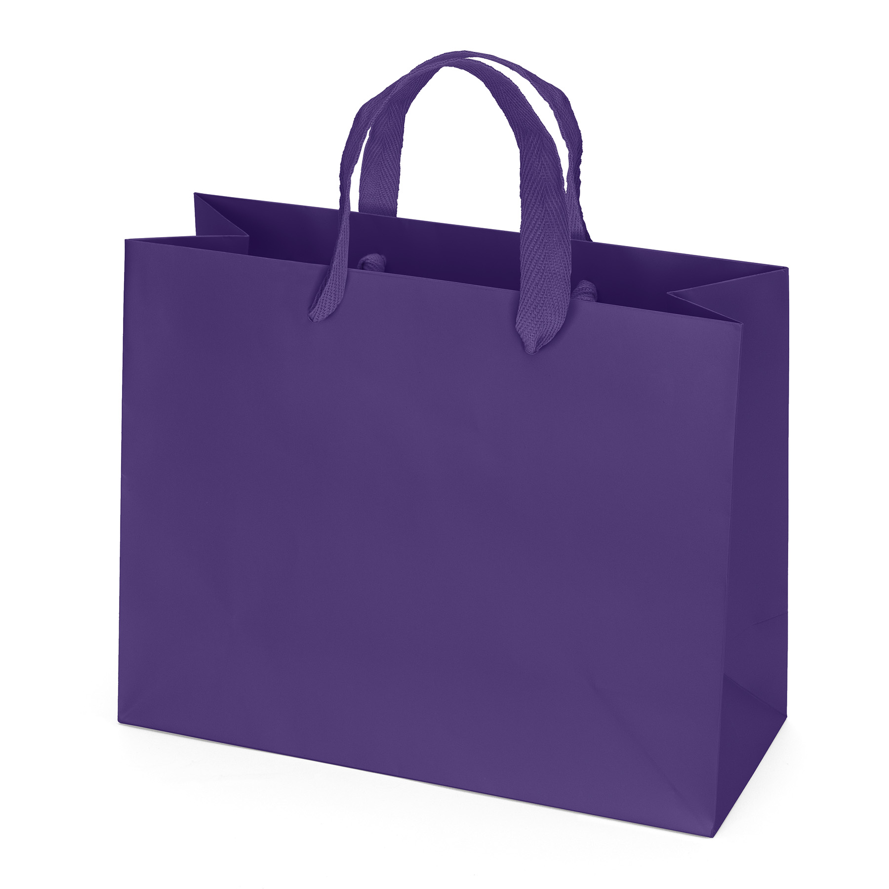 Paris - Matte Eurotote - Foil Print 12
