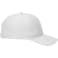 Unisex DOMINATE Ballcap 315