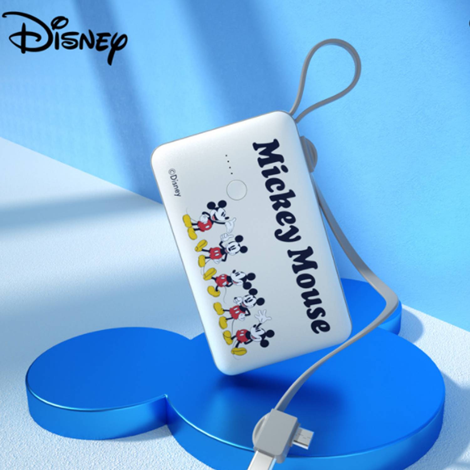 10000 mAh Power Bank 5