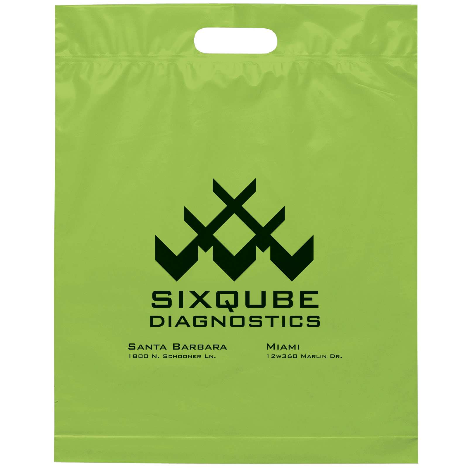 Die Cut Handle Bag - 15W x 19H x 3 - Flexo Ink Print 18