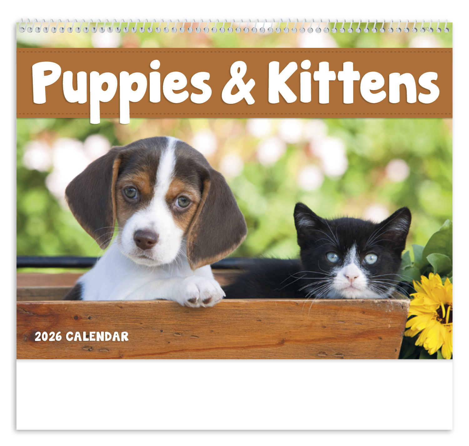 Good Value™ Puppies & Kittens - Spiral Calendar 30