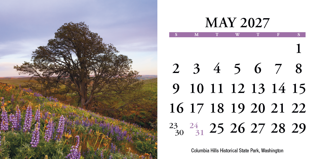 HotLine® Products Scenic America® Desk Tent Calendar 55