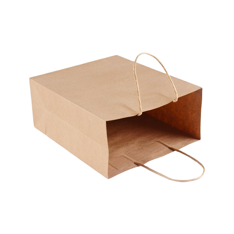 Carry Bags 4