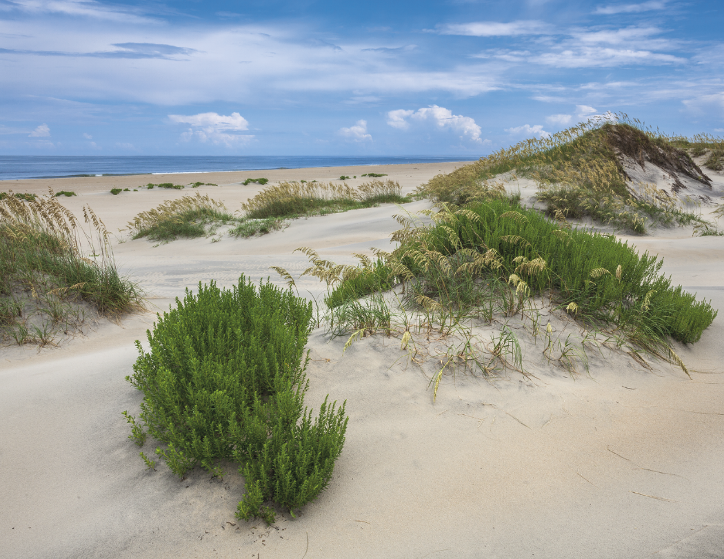 HotLine® Products Catholic Reflections Appointment Calendar - Stapled