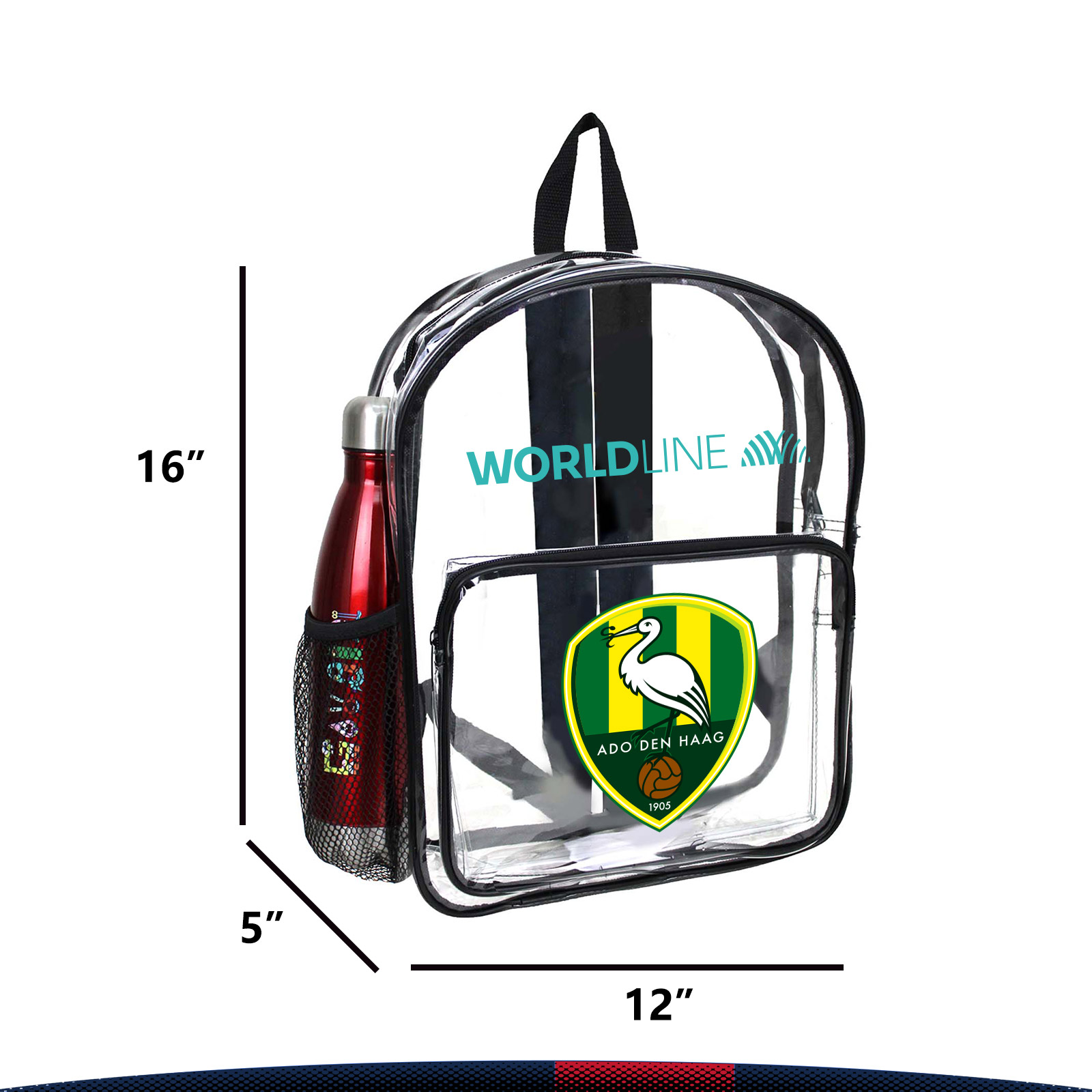 Faddish Clear Backpack 4