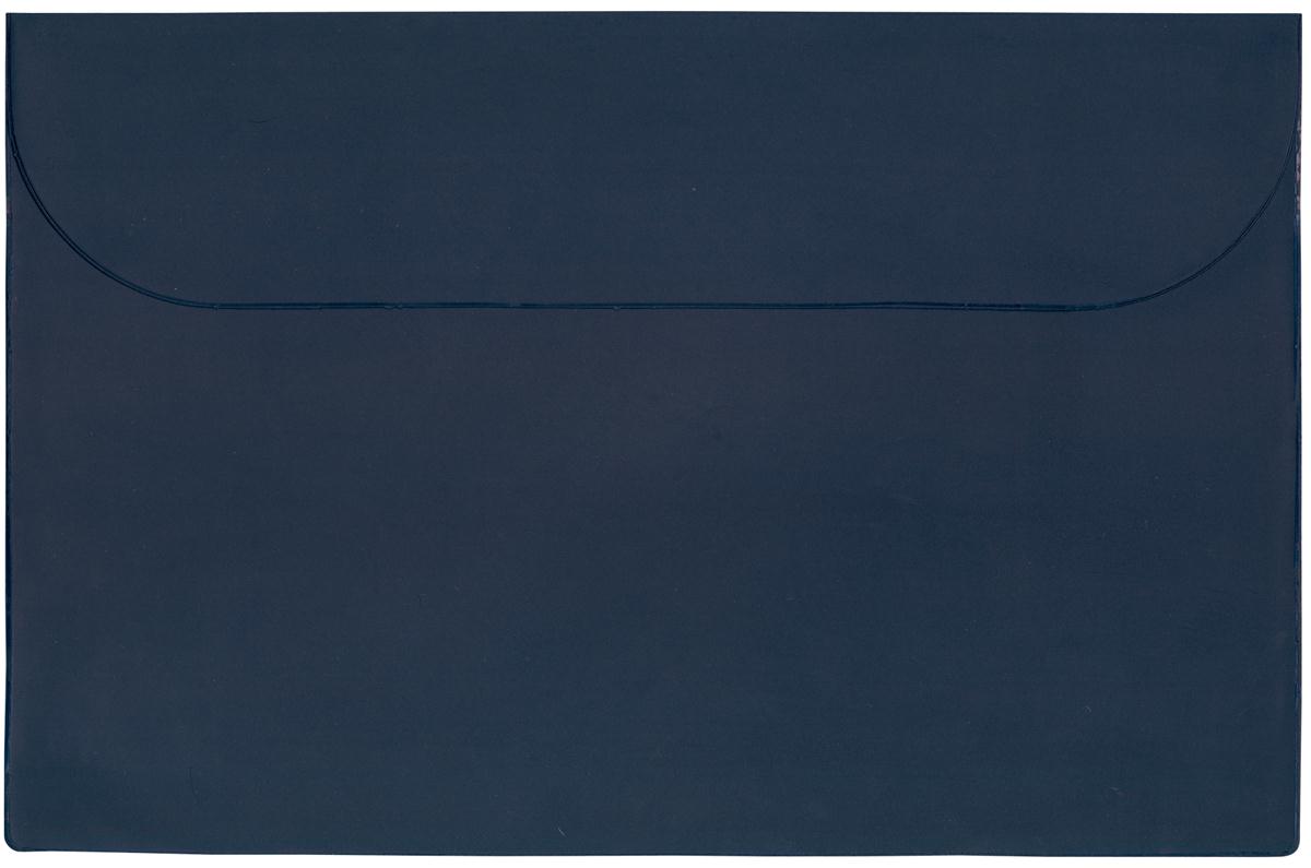 Standard Vinyl Underarm Portfolio 39